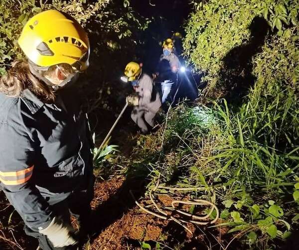 Mujer desaparecida fue encontrada semienterrada en un barranco - ABC en el Este - ABC Color