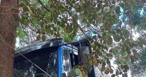 La Nación / Itapuá: chofer falleció aplastado por su propio camión