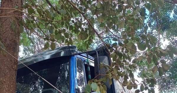 La Nación / Itapuá: chofer falleció aplastado por su propio camión