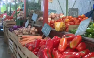 Trabajadores del Mercado de Abasto esperan clientes en pleno feriado - SNT