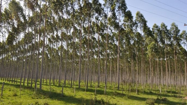 Paraguay buscará atraer a inversionistas europeos