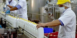 Industriales lácteos apuestan por meta de 1.000 millones de litros pese a caída en la producción - ADN Digital