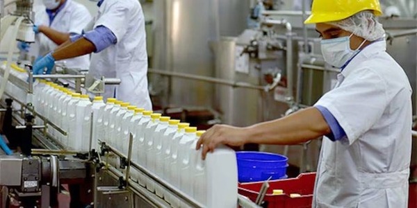 Industriales lácteos apuestan por meta de 1.000 millones de litros pese a caída en la producción - ADN Digital