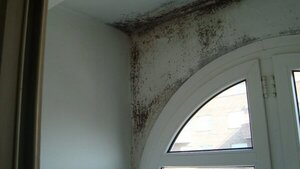 La humedad que hace brotar agua en las paredes y pisos de las casas, ¿hasta cuándo seguirá?