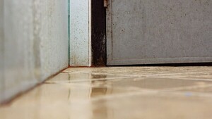 ¿Estás nadando en humedad? El nivel es del 90% y continuará hasta mañana