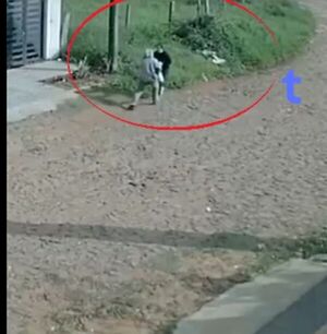 (VIDEO)A plena luz del día delincuente arrebató a una doña de sus bolsas de compras