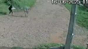 Tortoleros en Villa Elisa: Rompen autos en gasolinera y a una mujer le roban su bolsa del súper