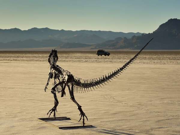 Único en el mundo: subastan el primer Ceratosaurus juvenil jamás hallado - Mundo - ABC Color