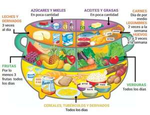 Alimentos según la olla nutricional y el plato saludable - Medio Natural y Salud Primer Ciclo - ABC Color
