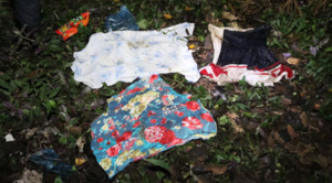 Caso Fernanda: No hallan evidencias en carretilla, pala y ropas, ahora apuntan al celular