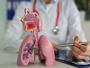 Ambientes húmedos: cómo alteran tu salud a nivel respiratorio, inmunológico y neurológico - Ciencia - ABC Color