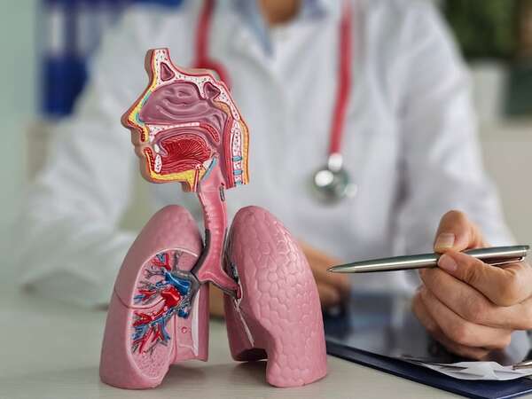 Ambientes húmedos: cómo alteran tu salud a nivel respiratorio, inmunológico y neurológico - Ciencia - ABC Color