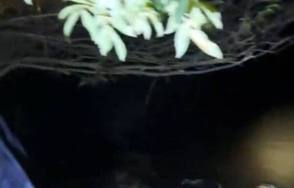 Se encontraron flotando un cadáver con millones de guaraníes: el finado tenía ra’e orden de captura