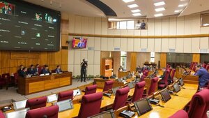 Más aumentos al PGN 2025: El Senado se asigna fondos pese a sus privilegios