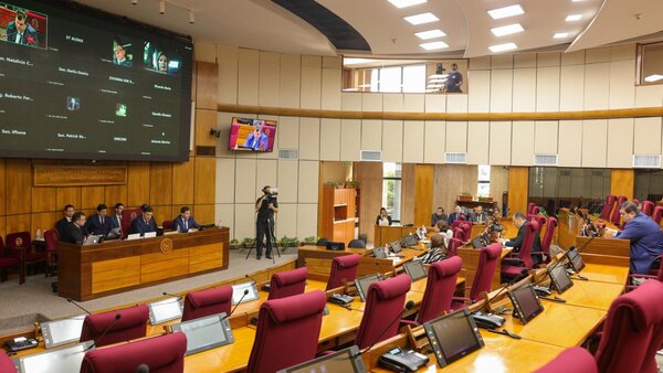 Más aumentos al PGN 2025: El Senado se asigna fondos pese a sus privilegios