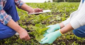 El SNPP habilita nuevos cursos agrícolas gratuitos en siete localidades