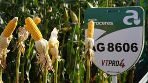 Tecnomyl presentó novedades en híbridos y defensivos agrícolas en jornada de Volendam Ltda.