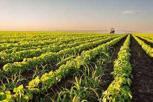 Clasificación de riesgo de la UE: cuestionan espíritu “proteccionista” y defienden modelo agrícola regional - Economía - ABC Color