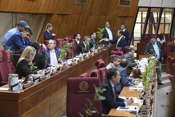 Ley Mafe: Diputados ahora se apura y da media sanción a ley sobre personas desaparecidas - Política - ABC Color