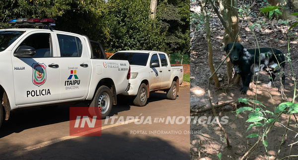 FISCALÍA INTERVINO EN SUPUESTO HECHO DE MALTRATO ANIMAL