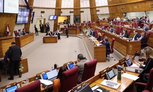 Diputados aprueba crear el Registro Nacional de Personas Desaparecidas y el sistema de alerta MAFE - OviedoPress