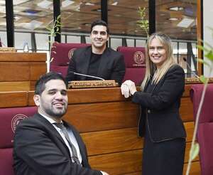 Cartistas en Diputados mantienen con vida peligroso proyecto de “blanqueo exprés” - Política - ABC Color