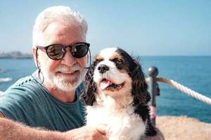 Perros tranquilos, obedientes y fáciles de cuidar: razas ideales para personas mayores - Mascotas - ABC Color