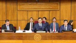 Senadores critican ausencia de la ministra de Salud en debate clave sobre vacunas