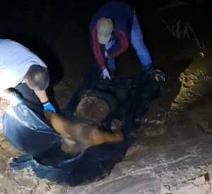Hallan muerto a presunto líder de una banda de asaltantes - trece