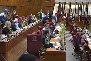 Cartismo recula y el polémico seguro de desempleo vuelve a foja cero en Diputados - Política - ABC Color