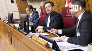 Desestimación de denuncia contra Cartes: “no existen motivos para montar una causa en su contra” - trece
