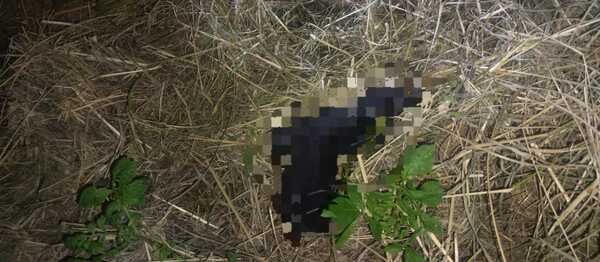 Policía abatió a presunto delincuente en Fernando de la Mora - Portal Digital Cáritas Universidad Católica