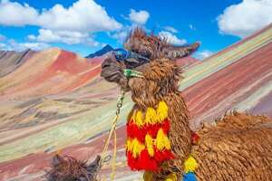 Ecoturismo en auge: seis experiencias sostenibles en Sudamérica - Viajes - ABC Color