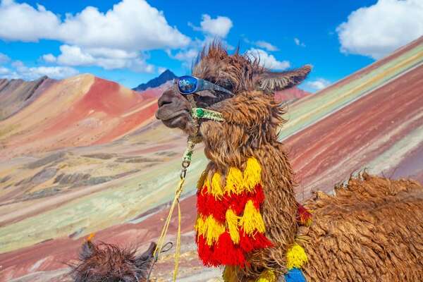 Ecoturismo en auge: seis experiencias sostenibles en Sudamérica - Viajes - ABC Color
