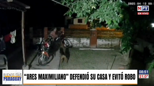 ¡Héroe canino! Ares evitó el robo de su hogar en San Pedro de Ycuamandyyú
