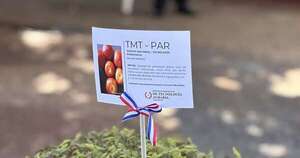 La Nación / Entregan casi 9.000 plantines de tomate para fortalecer la producción local