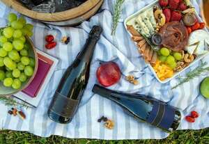 Día Mundial del Picnic: qué llevar en invierno, otoño, primavera o verano - Gastronomía - ABC Color