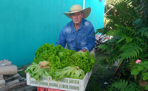 15 años cultivando hortalizas en San José de los Arroyos - Noticiero Paraguay
