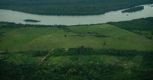 La Nación / Brasil adjudicó 19 áreas de exploración petrolera en la Amazonía