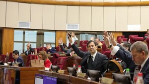 Senado insta a Cancillería a pedir replanteo de política migratoria de Argentina con Paraguay