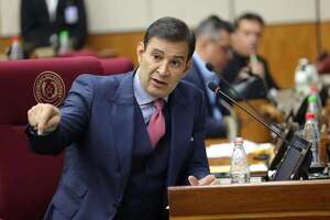 Ovelar vuelve a citar a la ministra de Salud y expone internas del Ejecutivo - Política - ABC Color