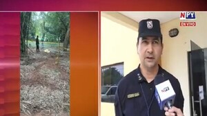 Hallan feto en el Jardín Botánico de Asunción