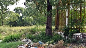 Policías hallan feto en el tacuaral del Jardín Botánico