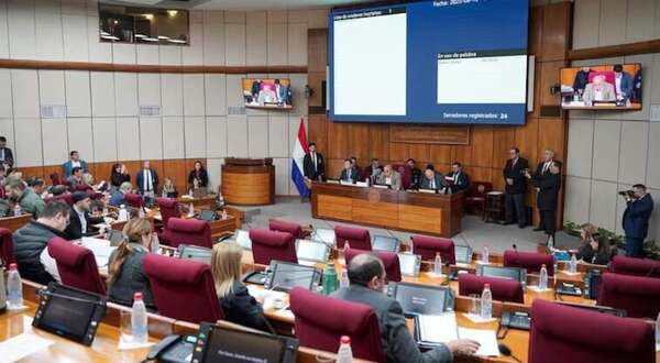 AUDIO: Senadores aprueban el aumento de penas para menores de edad - Ancho Perfil - ABC Color