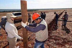 Itaipú recupera 70 hectáreas de la Reserva Natural Itabó que estaban ocupadas irregularmente | DIARIO PRIMERA PLANA