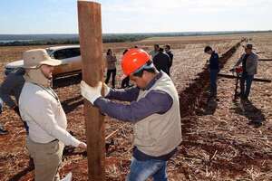 Itaipú recuperó 70 Ha de la reserva natural Itabó, luego de tres décadas de ocupación - Economía - ABC Color