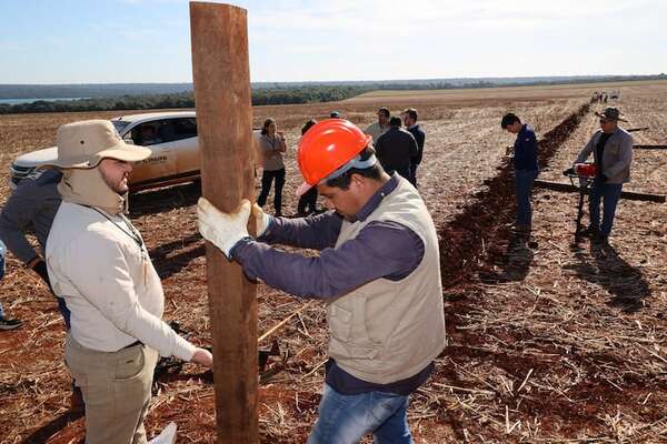 Itaipú recuperó 70 Ha de la reserva natural Itabó, luego de tres décadas de ocupación - Economía - ABC Color