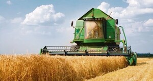Trigo sube 4% e impulsa al maíz y la soja