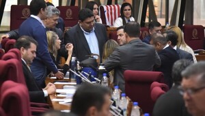 Senado estudia proyecto de Ley Mafe