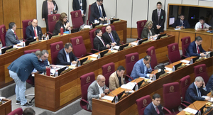 SENADO APRUEBA ELEVAR A 15 AÑOS LA PENA MÁXIMA A ADOLESCENTES